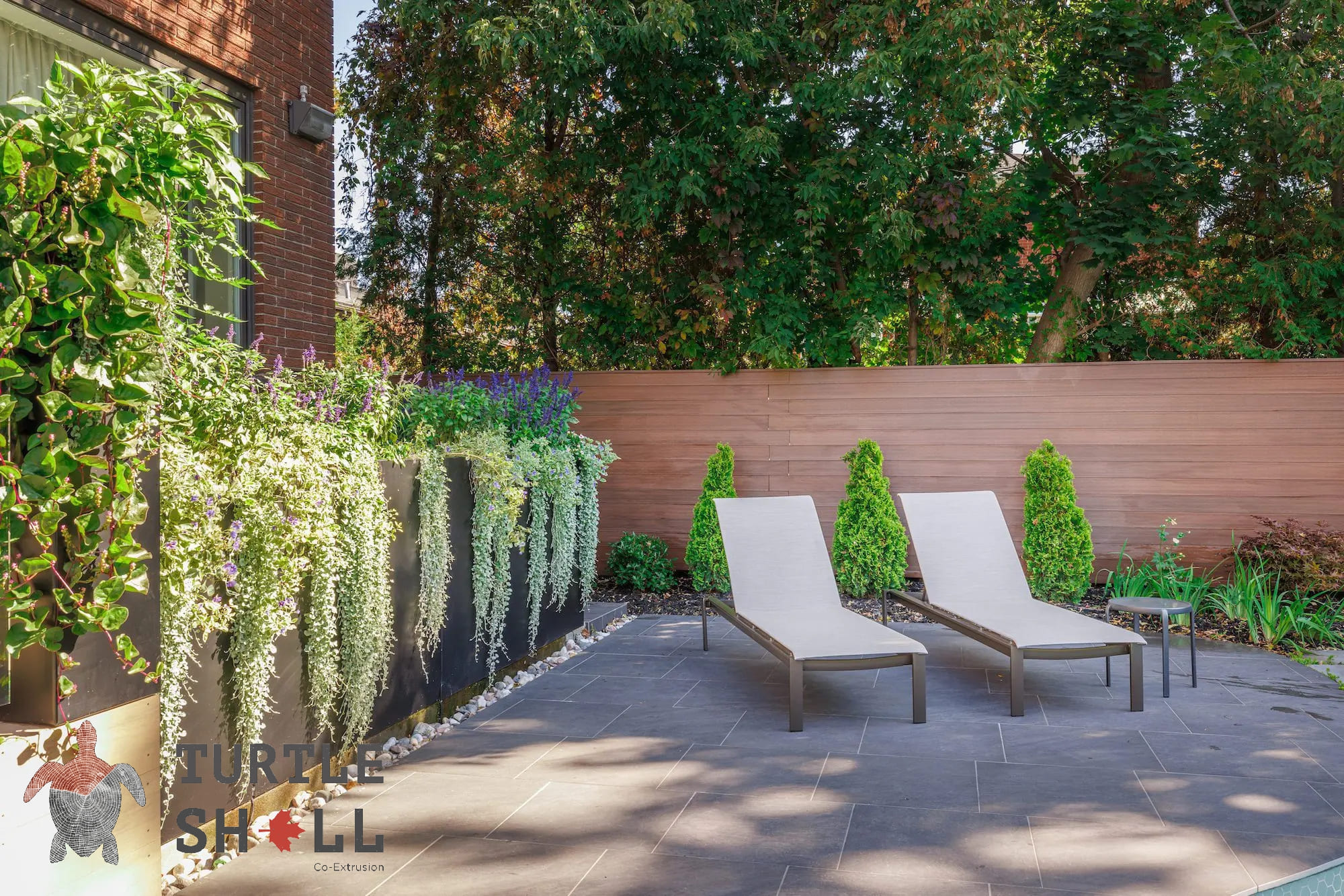 Забор из ДПК: Какую заборную доску из ДПК лучше выбрать — Black Deck